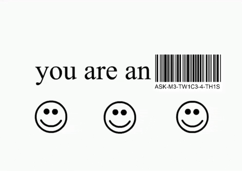 You are an product